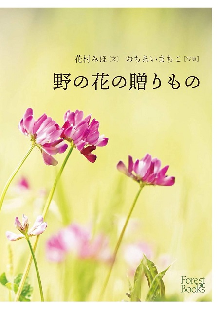 野の花の贈りもの（価格改訂）