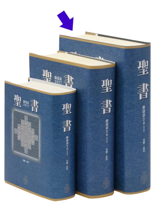 新改訳大型聖書（新改訳2017）/引照なし・注付